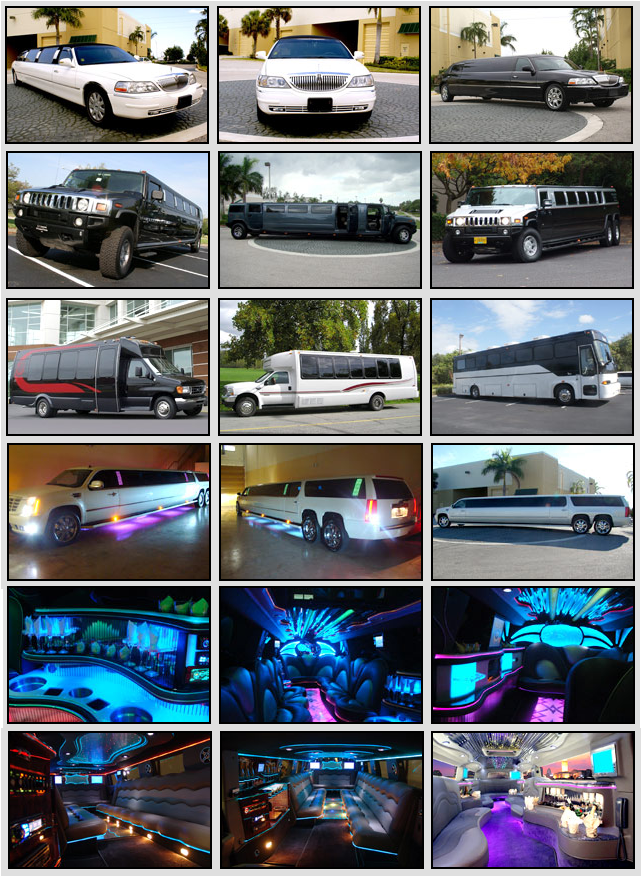 Limo Service Brooksville FL