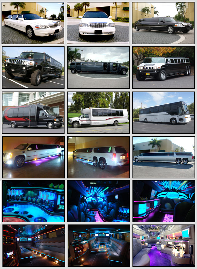 Limo Service Holiday FL