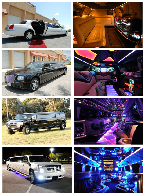 Spring Hill FL Limousines