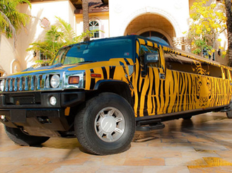 new-orleans-tiger-hummer-limo