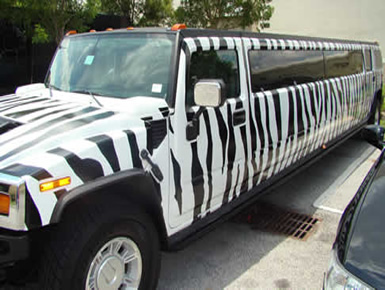 Zebra Hummer Limo