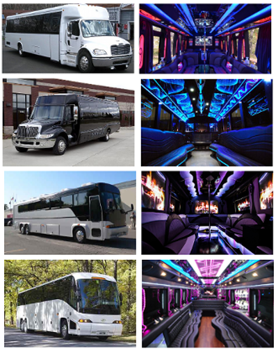 Cheap Party Bus Holiday FL