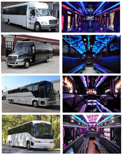 Cheap Party Bus Homosassa FL