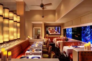 5 Best Restaurants Tampa Florida