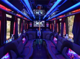 18 people party bus