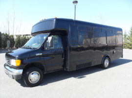 18 passenger party bus