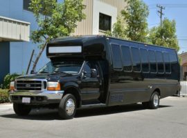 20-25 passenger party bus