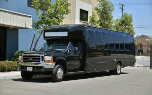 20 passenger party bus