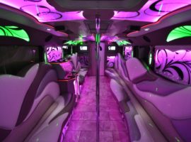 20 party bus interior