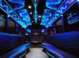 20 people party bus interior