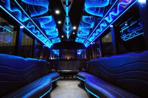 20 people party bus interior