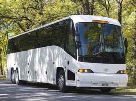 50 Passenger Charter Bus