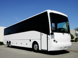 40 passenger party bus