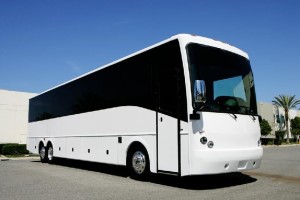 40 passenger party bus