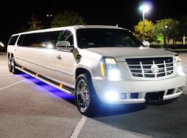 Tampa Escalade Limo