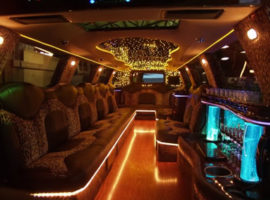 Tampa Limo