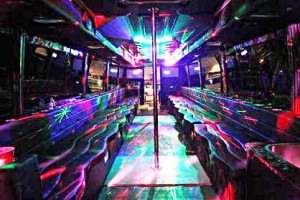 meg aparty bus tamap