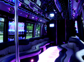 party bus rental 18 people