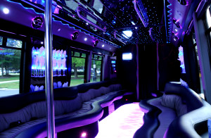 party bus rental 18 people