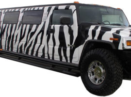 zebra-hummer-limousine-tampa-fl